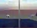 שפּיל Escape from the House with Turtles אָנליין