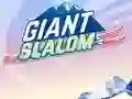 שפּיל Giant Slalom אָנליין