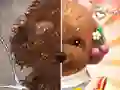 שפּיל Pet Makeup Master אָנליין