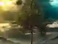 שפּיל Illusion Jungle Fairy Escape אָנליין