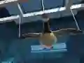 שפּיל Goose Museum אָנליין