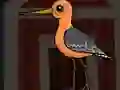 שפּיל Cute Godwit Escape אָנליין