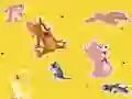 שפּיל The Tom and Jerry Show Find it! אָנליין