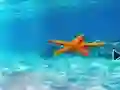 שפּיל Escape From Underwater Starfish אָנליין