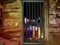 שפּיל Hidden Cat Escape אָנליין