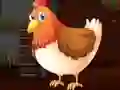 שפּיל Cute Brahma Chicken Escape אָנליין