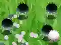 שפּיל Ketchme אָנליין