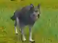 שפּיל The Wolf: Wild Animal Simulator אָנליין
