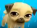 שפּיל My Virtual Pet Louie the Pug אָנליין