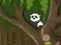 שפּיל Panda Jungle Escape אָנליין