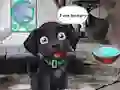 שפּיל Feed Hungry Black Dog אָנליין