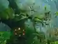שפּיל Innocent Sparrow Couple Escape אָנליין