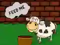 שפּיל Find The Cow Feed אָנליין