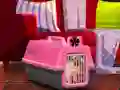 שפּיל Escape The Small Pug אָנליין