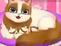 שפּיל Cute Kitty Pregnant אָנליין