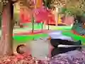 שפּיל Rescue A Wounded Guy אָנליין