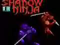 שפּיל Shadow of the Ninja אָנליין