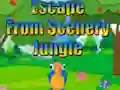 שפּיל Escape from Scenery Jungle אָנליין