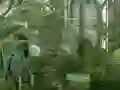 שפּיל Mystery Garden Escape אָנליין