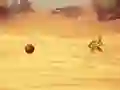 שפּיל Monkey Shooting אָנליין