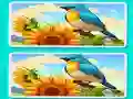 שפּיל Spot the Difference The Garden אָנליין