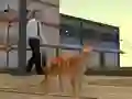 שפּיל Cat City Simulator אָנליין