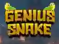 שפּיל Genius Snake אָנליין