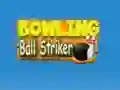 שפּיל Bowling Ball Striker אָנליין