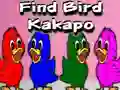 שפּיל Find Bird Kakapo אָנליין