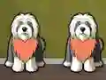שפּיל Find Dog Bailey אָנליין