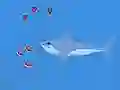 שפּיל Oceans Shees אָנליין