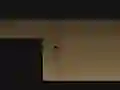 שפּיל Triangle Back To Home אָנליין