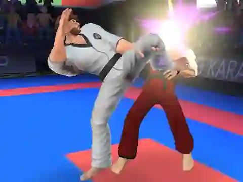 שפּיל Karate Fighter אָנליין