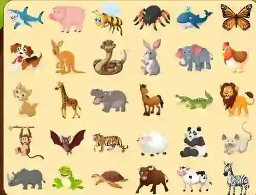 שפּיל Discover Animals אָנליין