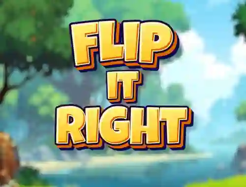 שפּיל Flip It Right אָנליין