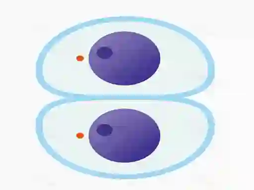 שפּיל Cutting master אָנליין