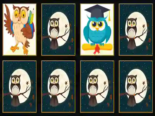 שפּיל Cute Owl Memory אָנליין