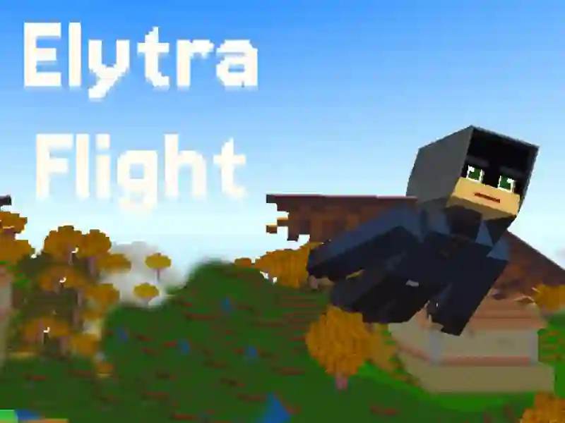 שפּיל Elytra Flight אָנליין