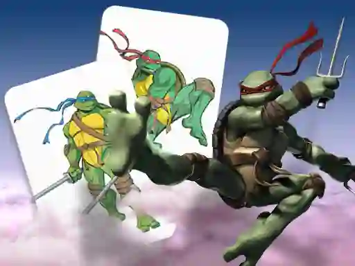 שפּיל Ninja Turtles Memory card Match אָנליין