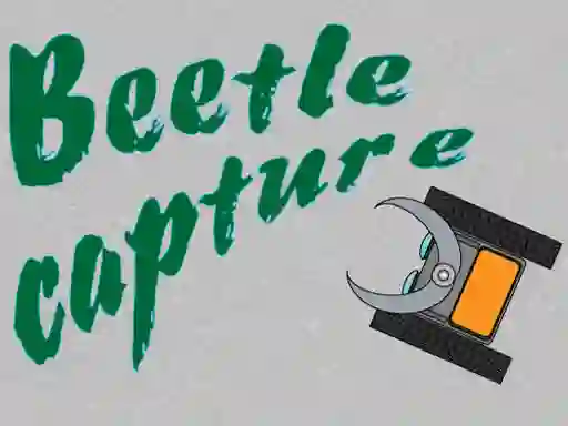 שפּיל Beetle Capture אָנליין