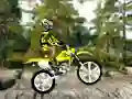 שפּיל Trial Bike 2 אָנליין