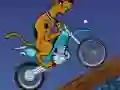 שפּיל Scooby Doo Trail אָנליין
