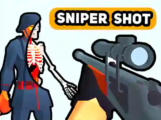 שפּיל Sniper Shot: Bullet Time אָנליין