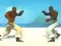 שפּיל Capoeira fighter אָנליין