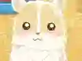 שפּיל Hamster Love אָנליין