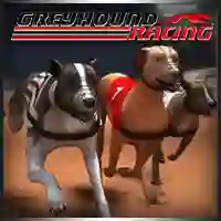 שפּיל Greyhound Racing אָנליין