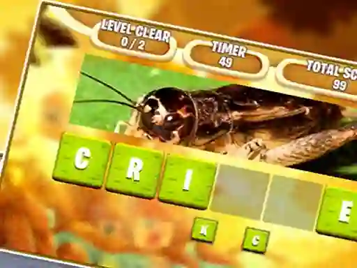 שפּיל Kids Scrambled Word אָנליין