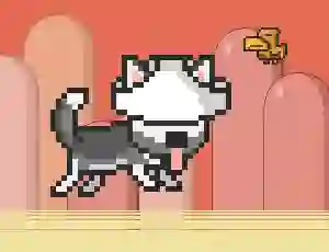 שפּיל Mr Jump Husky אָנליין