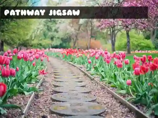 שפּיל Pathway Jigsaw אָנליין