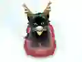 שפּיל Pet Sledding אָנליין